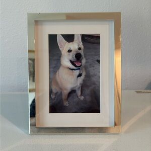 Silver Dog Photo Frame